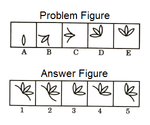 Series in Non Verbal Reasoning mcq question image