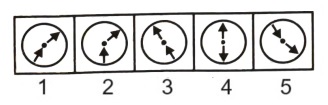 Classification  in Non Verbal Reasoning mcq question image