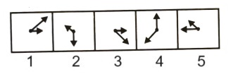 Classification  in Non Verbal Reasoning mcq question image