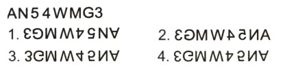 Mirror Images mcq question image