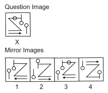 Mirror Images mcq question image
