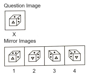 Mirror Images mcq question image