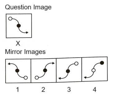 Mirror Images mcq question image