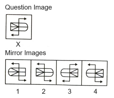 Mirror Images mcq question image