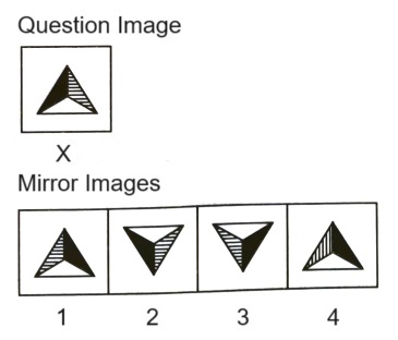 Mirror Images mcq question image