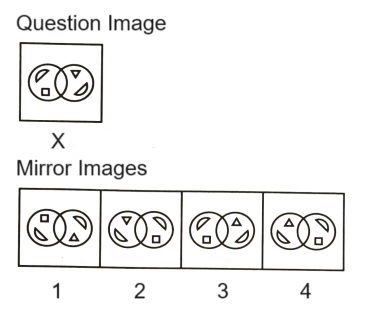 Mirror Images mcq question image