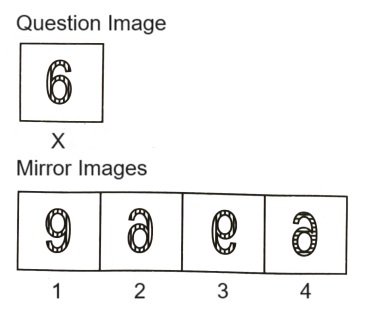 Mirror Images mcq question image