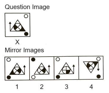 Mirror Images mcq question image