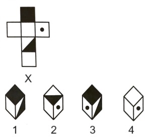 Cubes and Dice mcq question image