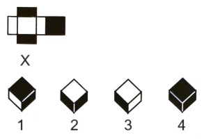 Cubes and Dice mcq question image