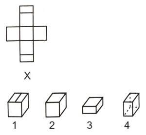 Cubes and Dice mcq question image