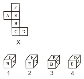 Cubes and Dice mcq question image