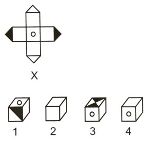 Cubes and Dice mcq question image