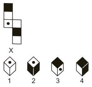 Cubes and Dice mcq question image