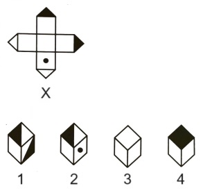 Cubes and Dice mcq question image