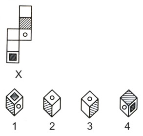 Cubes and Dice mcq question image