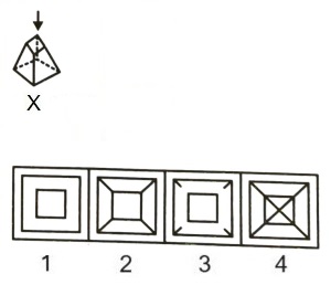 Figure Formation and Analysis mcq question image