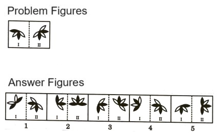 Analogy in Non Verbal Reasoning mcq question image